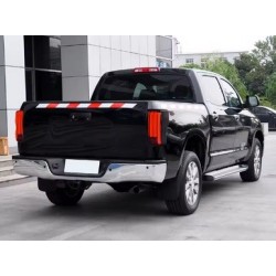 FEU ARRIERE LEDS TOYOTA Tundra 2 (07-13)