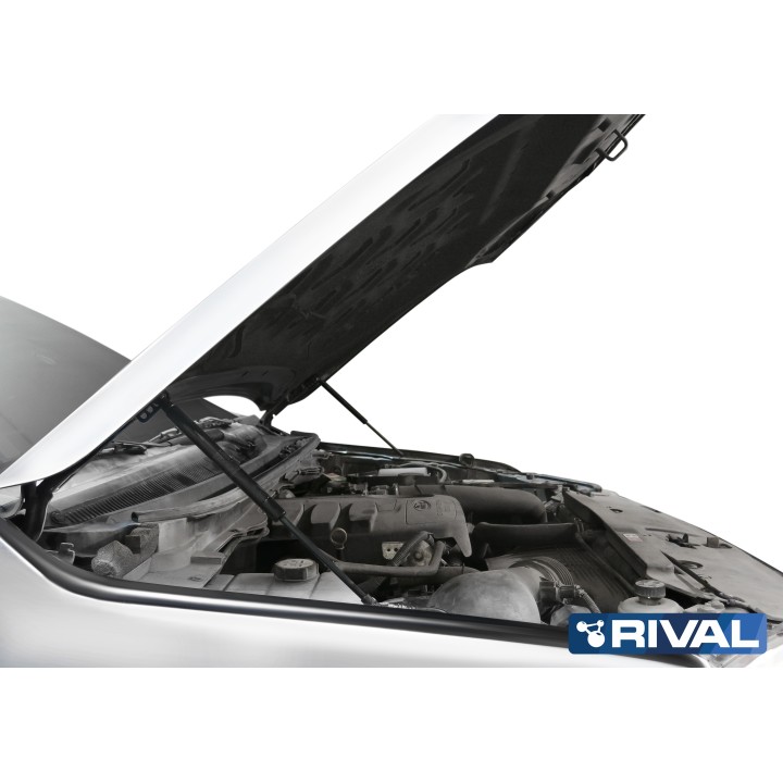 Vérin de capot moteur RIVAL Ford Ranger (12-)