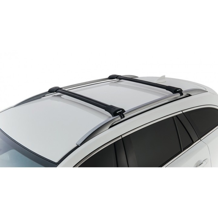Barres de toit STEALTHBAR (x2) RHINO-RACK Toyota 100 (98-07)