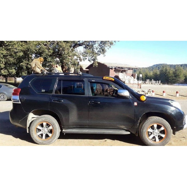 Snorkel ROCA SILVA Toyota Landcruiser 150/155 (09-)