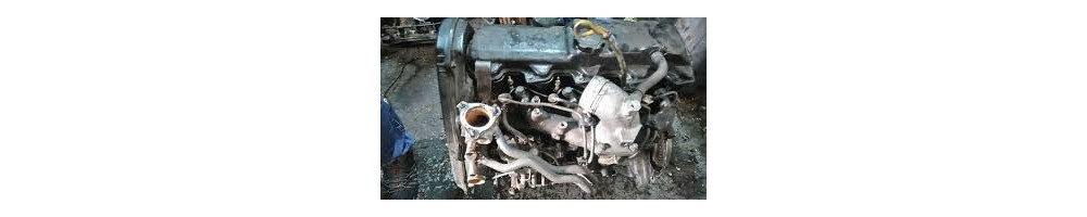 2.4 L4 D LN65 75CV (2L)