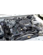 1.8 L4 YN85/90 83CV (2Y)