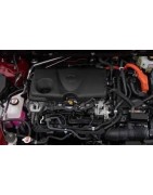 2.5 L4 HYBRID 178CV