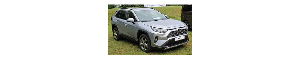 Rav 4 V XA50 (19-)