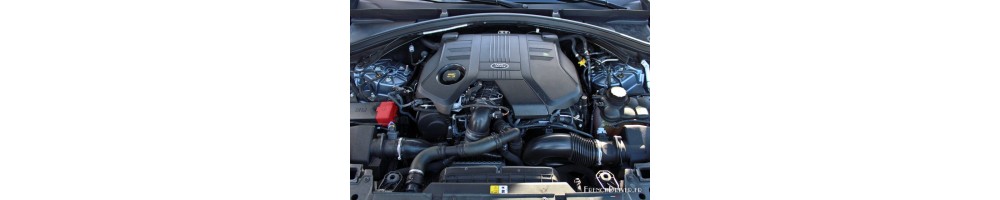 3,0 L6 D300 300CV