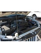 2,5 L4 DiD 154CV