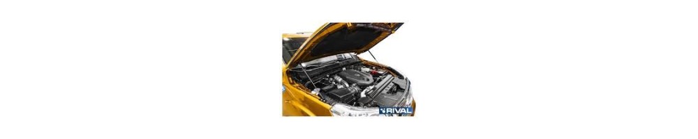 Vérin de capot moteur RIVAL