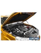 Vérin de capot moteur RIVAL