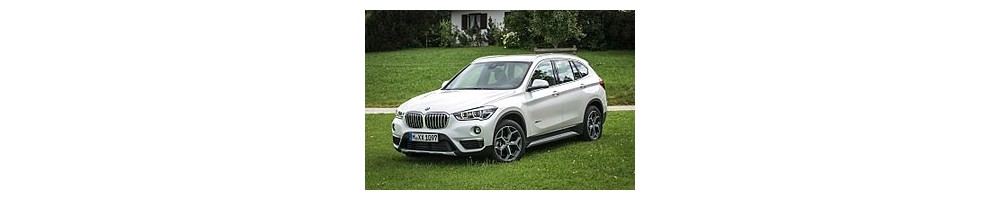 X1 (F48) (16-22)
