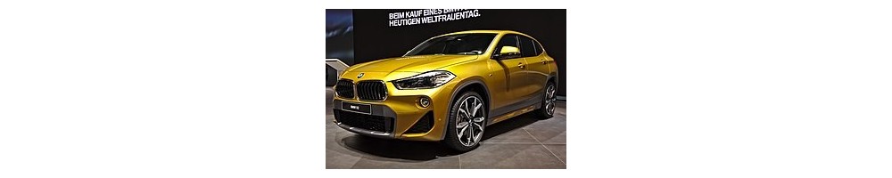 X2 (F39) (18-)