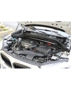 2,0 L4 TD 231CV (xDrive25d)