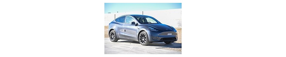 MODEL Y (20-)