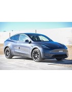 MODEL Y (20-)