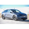MODEL Y (20-)