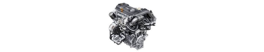 2,3 L4 TSi 302CV