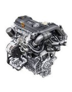 2,3 L4 TSi 302CV