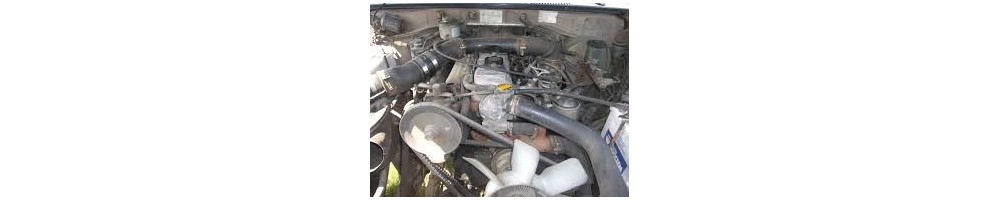 2.9 L4 D 80CV (B)