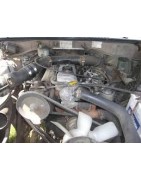 2.9 L4 D 80CV (B)
