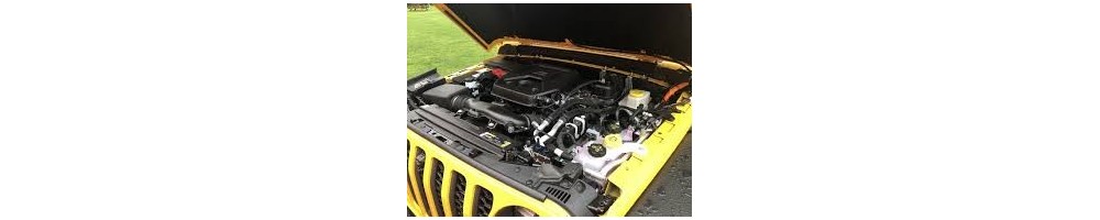 2,0 L4 Turbo + HYB RECH. 380CV