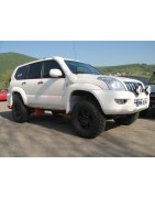 SNORKEL ROCA SILVA
