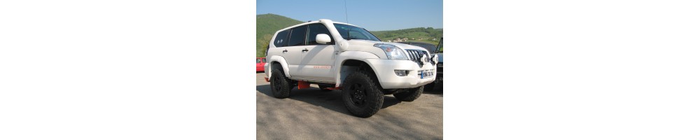 SNORKEL ROCA SILVA