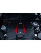 4.0 V8 TFSi 500CV