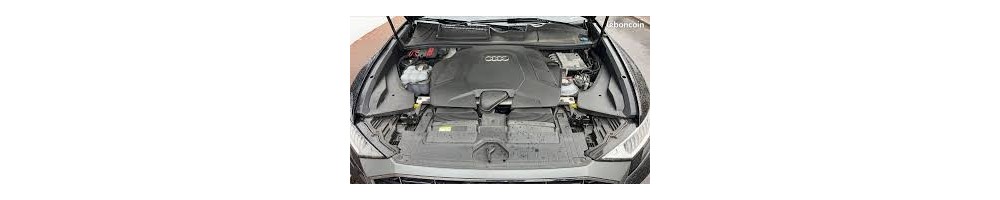 3.0 V6 55 TFSi e Hybride 381CV