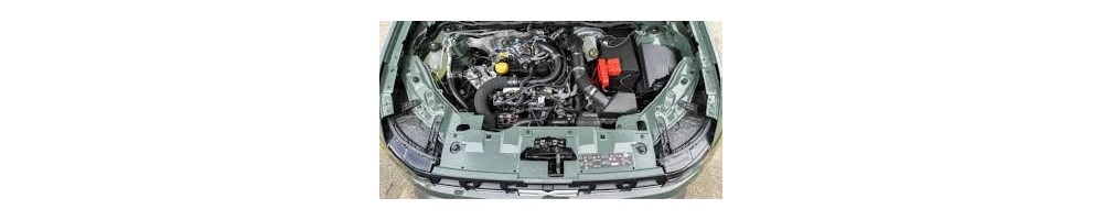 1,0 L3 ECO-G GPL 100CV
