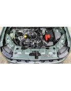 1,0 L3 ECO-G GPL 100CV