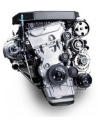 2,0 L4 e-XGDI 225CV