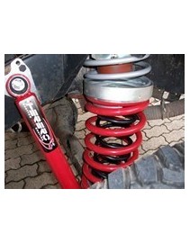 Suspension