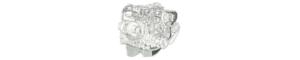 2.1 L4 TD