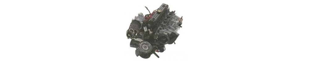 4,0 L6 Essence