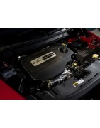 2.0 L4 TD Multijet