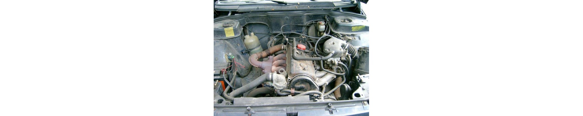 2,0 L4 Essence 85CV Renault
