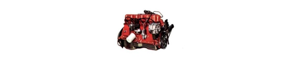 4,2 L6 Essence AMC