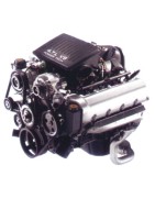 4,7 V8 Inj 305CV
