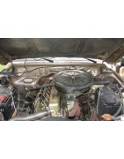 3,3 L6 Diesel