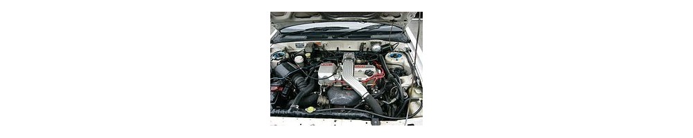 2,0 L4 Injection