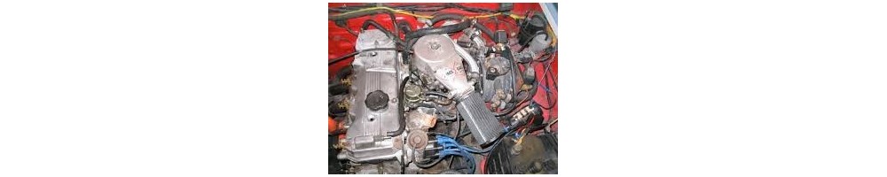 2,6 L4 Injection