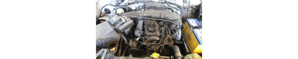 2,4 L4 Injecton