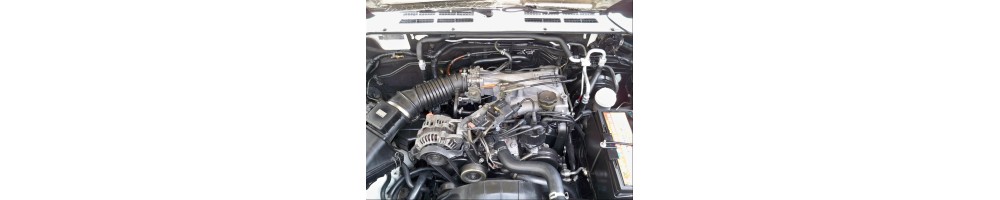 3,0 V6 Injection