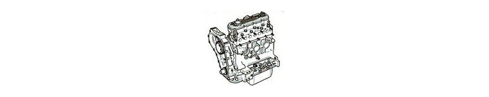 2.5 L4 300TDi 111CV