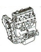 2.5 L4 300TDi 111CV