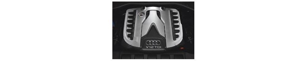 6.0 V12 TDi 500CV