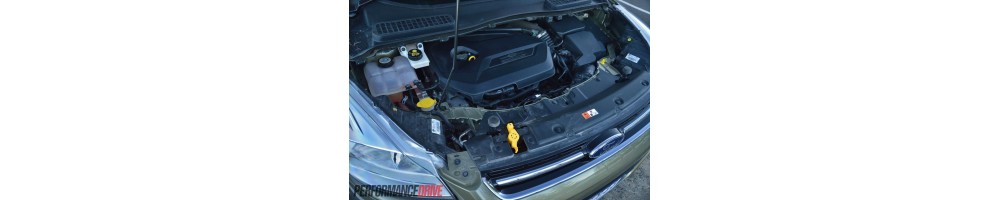 1,6 L4 Ecoboost (150/182CV)
