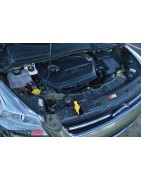 1,6 L4 Ecoboost (150/182CV)