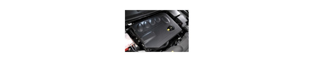 2,0 L4 TDCi Duratorq 163CV