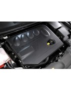 2,0 L4 TDCi Duratorq 163CV