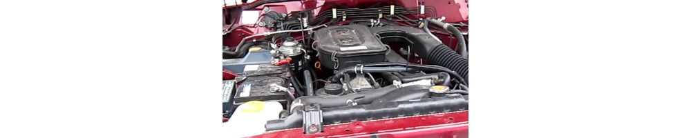 4,2 L6 D 123CV (TD42)